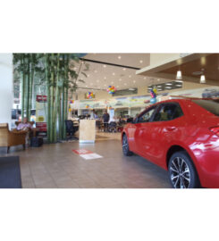 Findlay Toyota Henderson